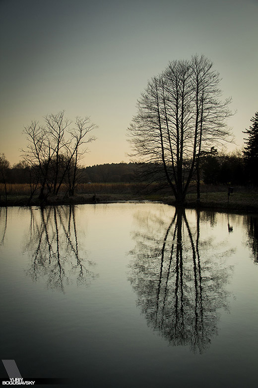 Morton Arboretum